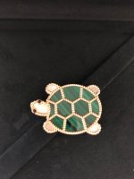 Turtle.jpg