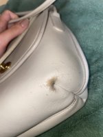 Bone bag before.jpg