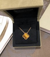 VCA Tiger Eye.jpg