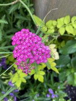 F0A0E132-E5EA-479A-8723-AAB7ED71F1C7.jpeg