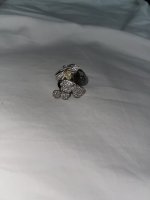 4305E355-5CF9-4606-9C9E-71C22BE5B852.jpeg
