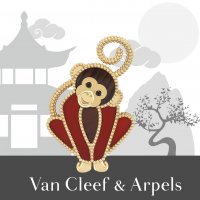 Monkey.jpg