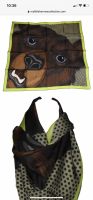 93F5841C-F1C3-444A-AD2D-3E0509DD78DF.png