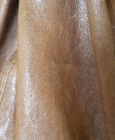 20210626_120542.jpg