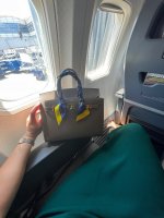 birkin on plane.jpeg