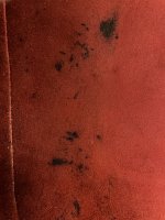 B77FBA08-75AB-4302-8D0D-CF6FF7D6A50F.jpeg