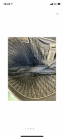 AC841B54-CFB0-44A3-A905-BEB5221F530E.png