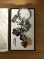dk_japan fake coach butterfly keychain 3.jpeg