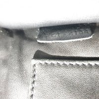 Celine tri_333.jpg