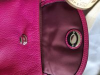 Fuschia lV.jpg