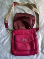 Fuschia ll.jpg