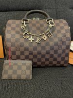 Lv Speedy Purse Forum  Natural Resource Department