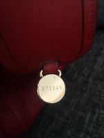 IMG_20210721_121304.jpg