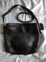 Coach equestrian 9809 ll.jpg
