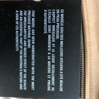 IMG_6401.jpeg
