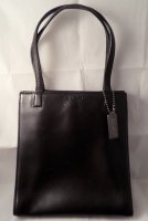 6152_pearlized Bleecker bag-b.jpg