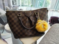 LV siena PM.jpg