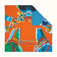 hermes-drive-me-crazy-double-face-scarf-90--353843T 01-flat-1-300-0-850-850_b.jpeg