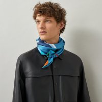 hermes-drive-me-crazy-double-face-scarf-90--353843T 01-worn-3-0-0-1700-1700-q99_b.jpeg
