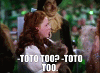 1628455218085.gif