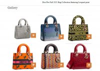 dior pre-fall 2021 handbags 1.jpg
