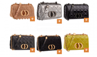 dior pre-fall 2021 handbags 4.png