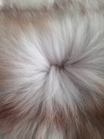 20210820_090207.jpg