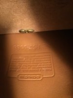 BD7ECF23-2334-4D2D-870C-2C966B13598A.jpeg