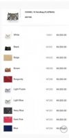21K Chanel 19 Flapbag.jpg