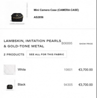 21K Chanel mini camera case 2.jpg.png