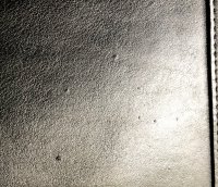IMG_9449.jpg