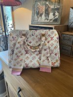 LV watercolor speedy.jpg