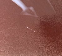 IMG_9503.JPG