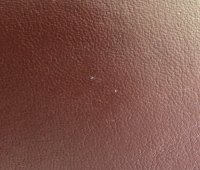 IMG_9505.jpg