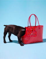 Fashion Reloved - This Goyard bag is at 20% off now. A tote in a fun color  is always a good idea. Carry all your essentials or your pup in its roomy