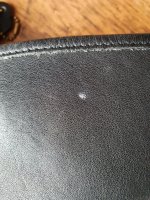 20210827_093340.jpg