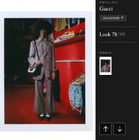 Gucci Pre-Fall Collection Look 78.jpg