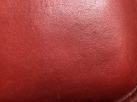 IMG_9561.jpg