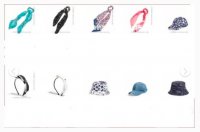 22P accessories.jpg