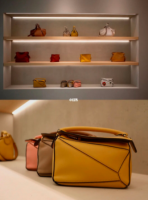LOEWE 2021-2022.png