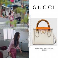 Gucci Diana Tote - Penthouse Season 3.jpg
