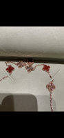 A26D42C8-0321-4591-A4B3-D6FC20C07131.png