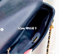 21K Caviar Mini in Navy Blue (interior).png