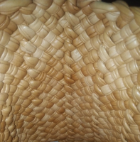 1631034632540.png