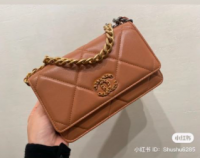 NF825 Chanel 19 Wallet on Chain .png