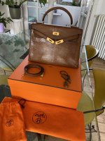 The Complete Guide to Hermès Lizard Bags