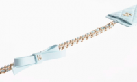 cardholder with chain.png