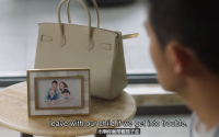 hermes birkin.png