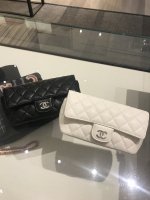 IMG_1880.jpeg