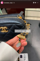 camera bag chain is adjustable.png